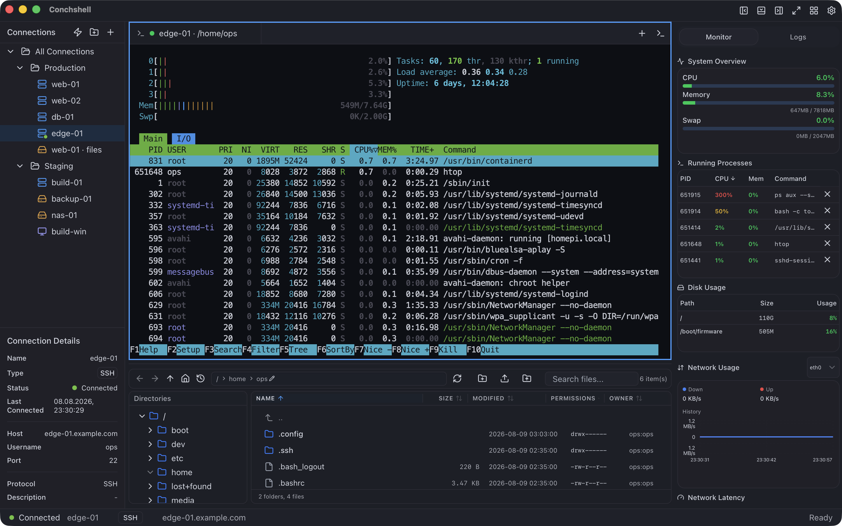 The process table of htop on a remote host, next to the panel with its processor, memory, disk and network figures